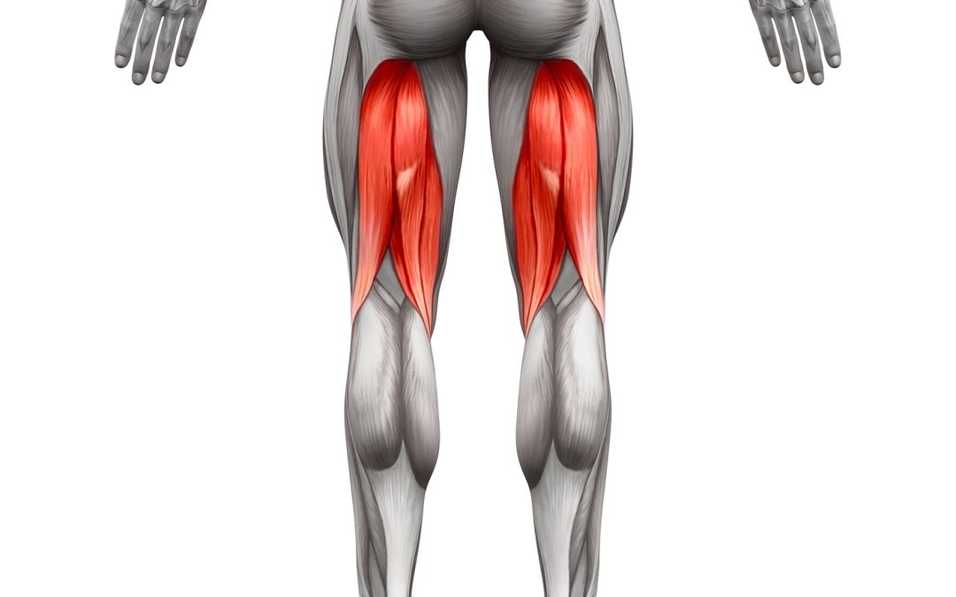 Hamstring Health 101: Anatomy, Pain Relief, and Treatment Options